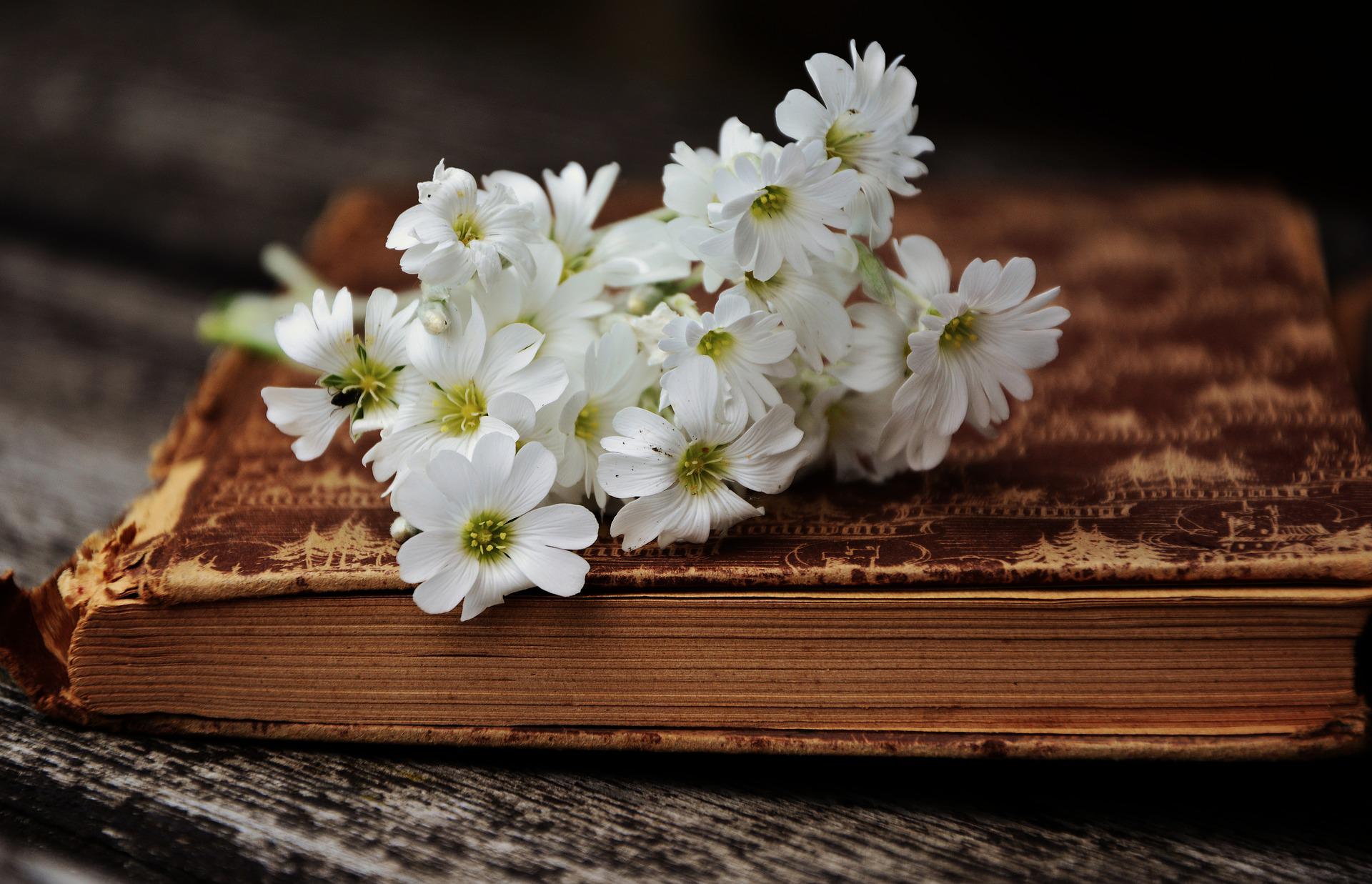 Libro con sopra i fiori